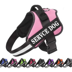 Hundegeschirr mit individuellem Namen, Französische Bulldogge, mittelgroße und große Hunde, reflektierend, verstellbar, Outdo