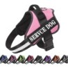 Hundegeschirr mit individuellem Namen, Französische Bulldogge, mittelgroße und große Hunde, reflektierend, verstellbar, Outdo
