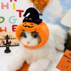 Kürbis-Katzenhut, lustige Katzenmütze, neue Hunde-Halloween-Kopfbedeckung