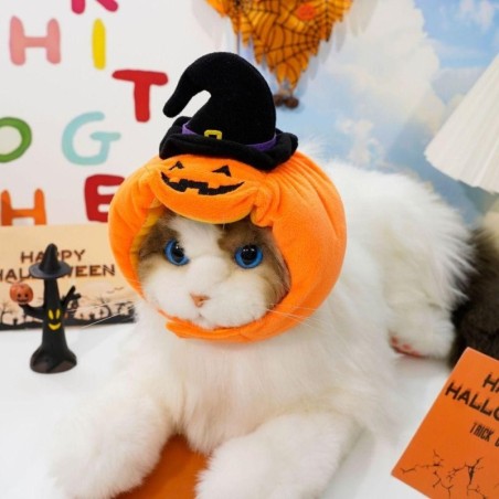 Kürbis-Katzenhut, lustige Katzenmütze, neue Hunde-Halloween-Kopfbedeckung