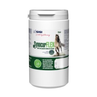 GIGI VET SynocurFlex Gelenke Für Pferde Pulver 900 g