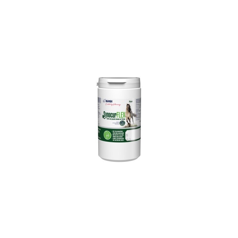GIGI VET SynocurFlex Gelenke Für Pferde Pulver 900 g