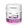 GIGI VET Harn & Blase 28x8 g
