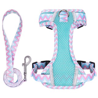 Hundegeschirr-Leine-Set für 3M Nacht-Gehhilfe für Senioren zum Spazierengehen und einfaches An- und Ausziehen, reduziert XS k