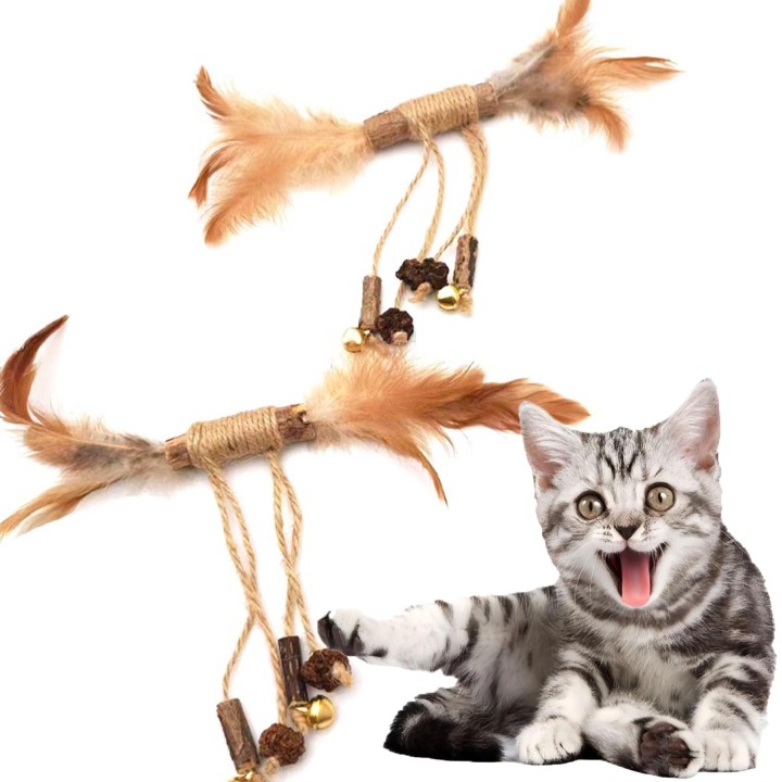 ULcomlife Natürliches Matatabi-Katzenspielzeug mit Insekten und Hanfschnur, natürlich, kein gesundes Kauen, Beißen, Katzenstr