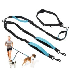 Doppelter Hundetrainings-Langhandlauf, kann für verschiedene Haustier-Reflektoren verwendet werden, aus Runaway-Kontrolle ohn