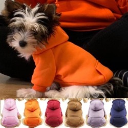 Winer Hundekleidung, reines Design, für Katzen, Hunde, Kapuzenpullover, Herbst und Winter, Hundemantel, Jacke, Welpe, Chihuah