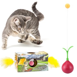 Federspielzeug zum Zusammenbauen, weckt automatisch Trick-Solospiel-Katzen, Typ, Auf, Box, Geschenk,