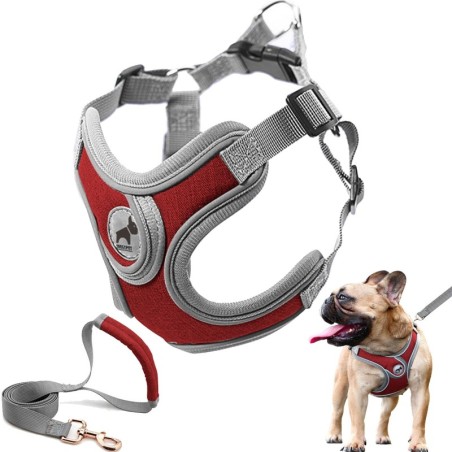 SAEGYPET Hundegeschirr mit Leine, kein Ziehen, Hundehalsband, Geschirr mit gepolsterter Weste, Geschirr für Training und Lauf