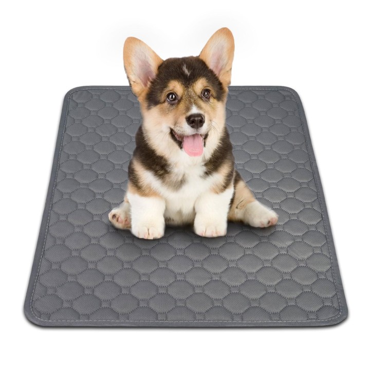 Pet Pee Washable Pet Sheets for Cats and Quick Leak 45cm x Set of Gray Mat, Mat, Dogs, Absorbent, Drying, Proof, Flexible, No