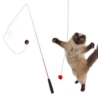 iCat FLYING CAT Angelrute Katzenball Marienkäferball Katzenspielzeug