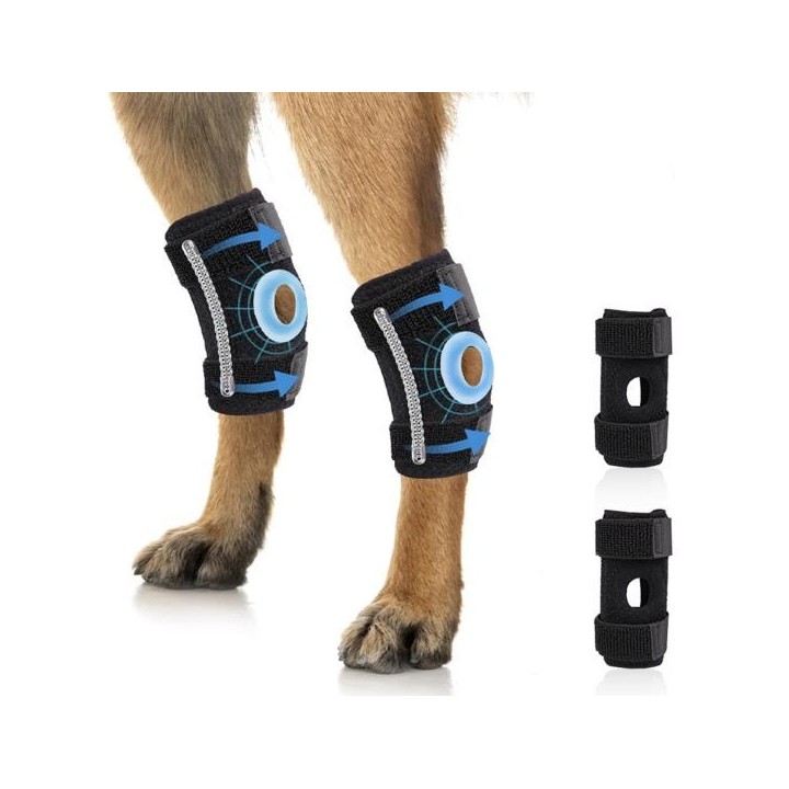 Hundebeinstütze für das Hintergelenk, Stütze für das Hinterbein von Hunden S