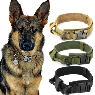 Hundehalsband, verstellbares taktisches Haustierhalsband und Leine-Set für das Training kleiner, mittlerer und großer Hunde L