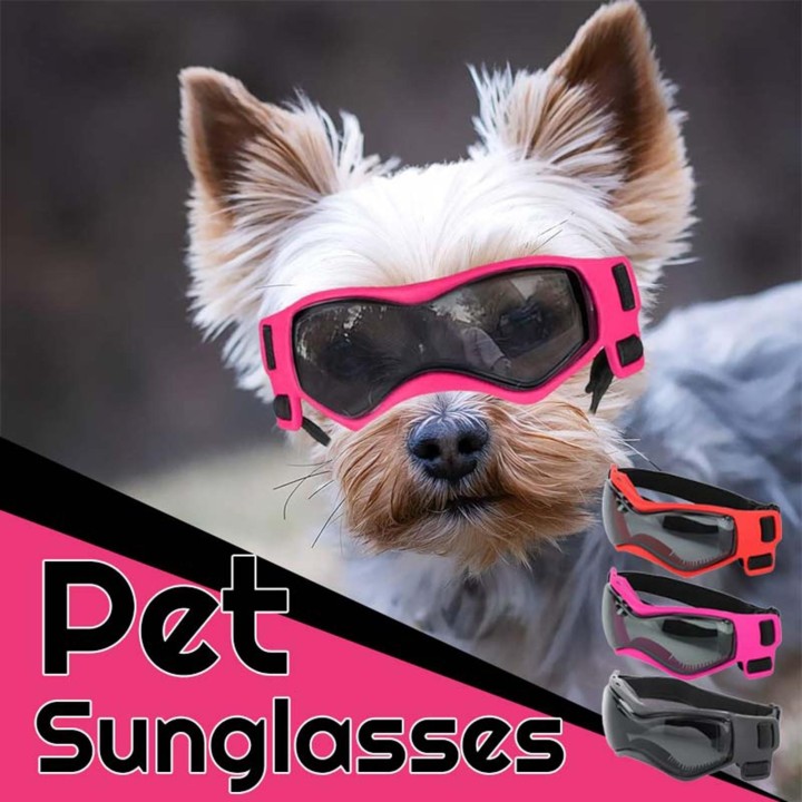 Hundebrille für kleine Rassen, Hundesonnenbrille für kleine Rassen, UV-Brille für kleine Hunde zum Reiten im Freien, Autofahr