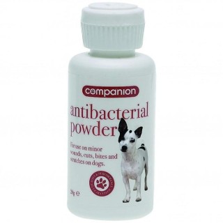 Begleitpulver 20g weiß