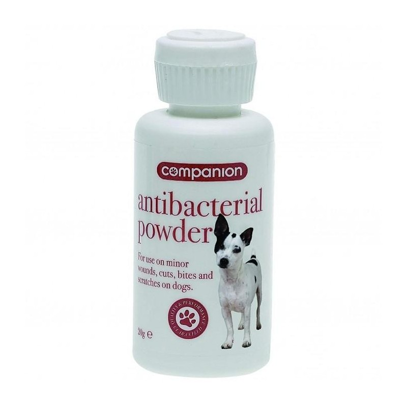 Begleitpulver 20g weiß