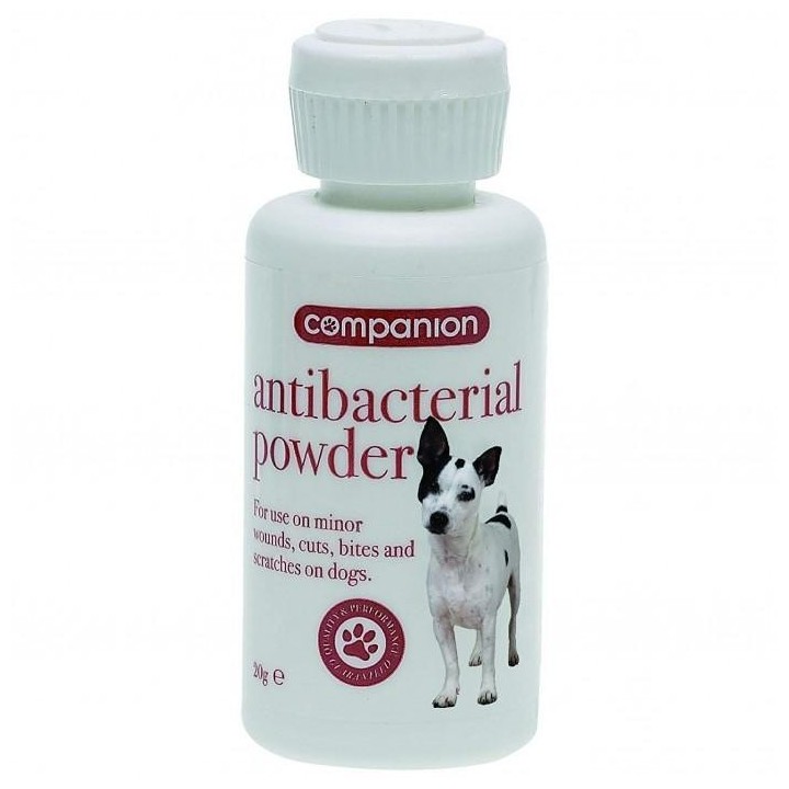 Begleitpulver 20g weiß