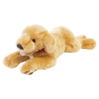 Plüschtier M Golden Retriever Hund