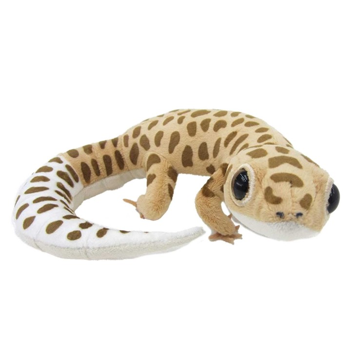 TST Advanced Echter Leopardgecko