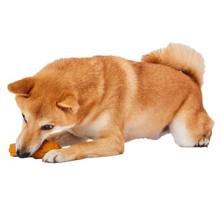 Petio Hundespielzeug Inuga, japanische Süßigkeiten, Latex, groß, Taiyaki