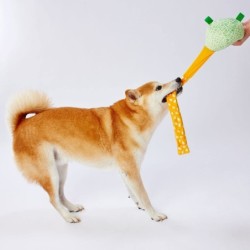 Petio Hundespielzeug Fruit Melon Biyon!