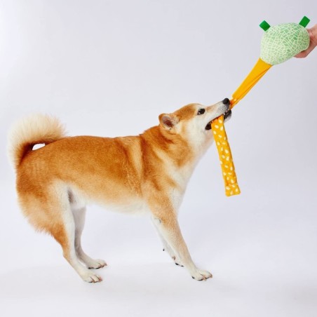 Petio Hundespielzeug Fruit Melon Biyon!