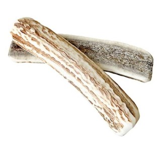 Presica Hirschgeweih halbiert, 2er-Set, Größe für mittelgroße Hunde, Kauspielzeug, Hundespielzeug aus Hirschgeweih, Hundeleck