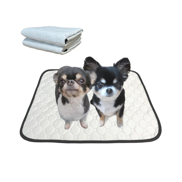 Care Advisor Smiley Life Waschbares Haustier-Wiederverwendbares Pee Pet Quick Japanisches 2er-Set [Von Haustieren empfohlen]