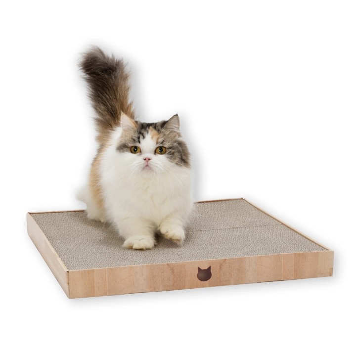 von Amazon Nekoichi Scratch Bari Bali Pad King Hellbraun hellbraune