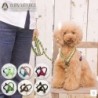 Solgra Hundegeschirr, zweifarbig, Kordel, Größe S, für Hunde, zum Spazierengehen, Spielzeugpudel, Chihuahua, Zwergspitz, Größ