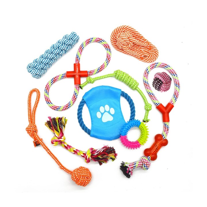 PetGround Hundespielzeug-Set, robust, für kleine, mittelgroße und große Hunde, pädagogisches Kauspielzeug, 10 Stück, Hundespi