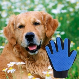 1 Stück Bürsten-Gant de Chien de Chat Brosse pour doux animal massage de bain Brosse