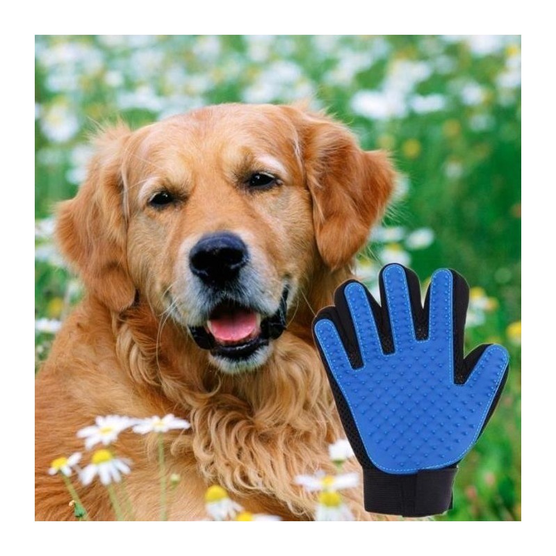 1 Stück Bürsten-Gant de Chien de Chat Brosse pour doux animal massage de bain Brosse