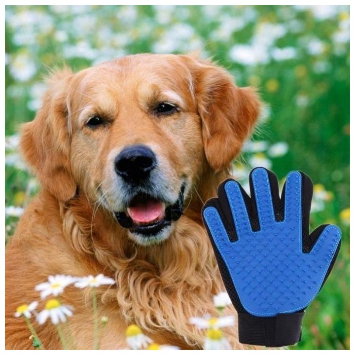 1 Stück Bürsten-Gant de Chien de Chat Brosse pour doux animal massage de bain Brosse