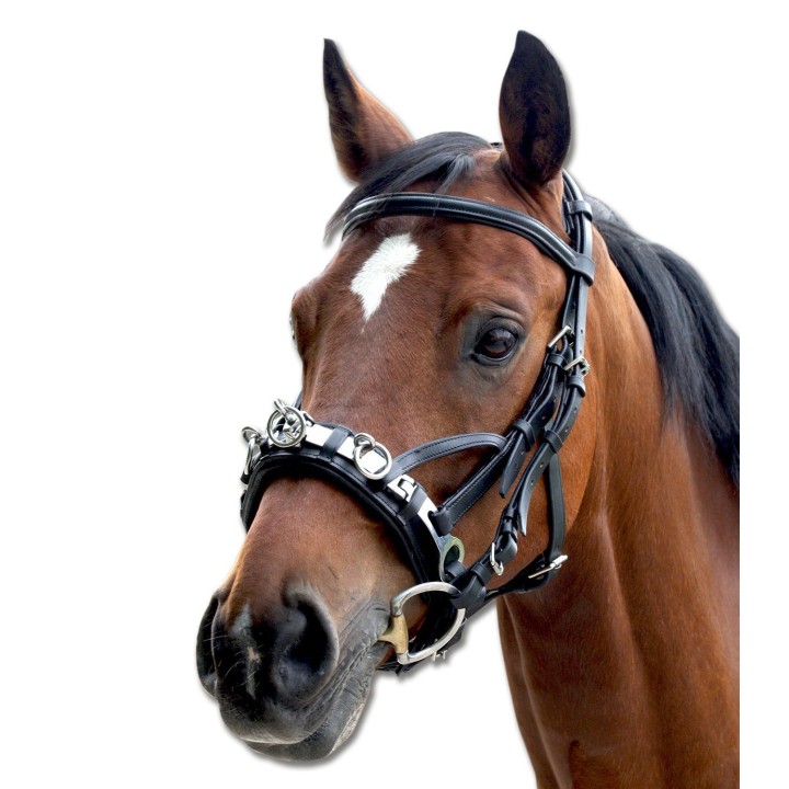 Waldhausen Kappzaum aus Leder