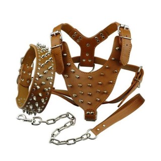 Anti-Biss-Nieten-Haustierhalsbandgeschirr Strapazierfähiges Hundehalsband und Geschirr aus Leder mit Nieten