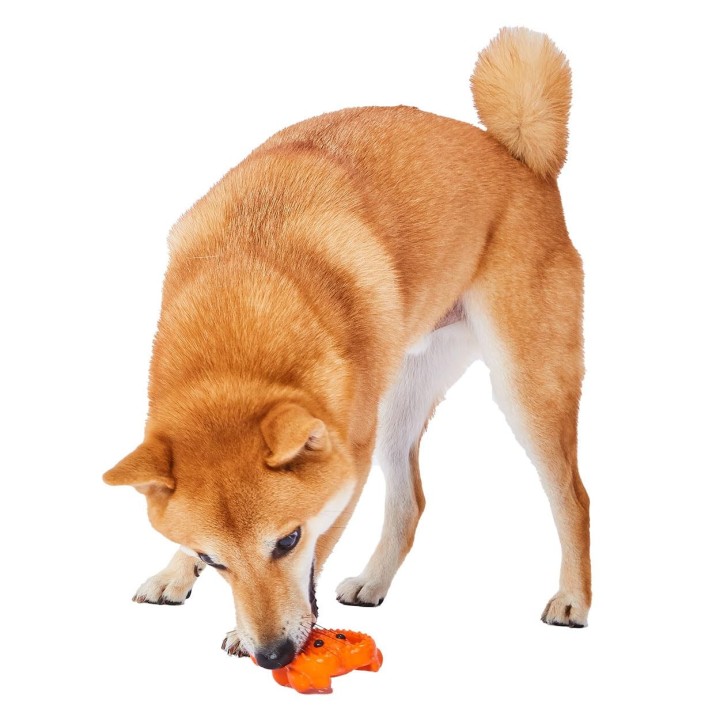 Petio Hundespielzeug Inuga Japanische Latex-Ise-Garnele