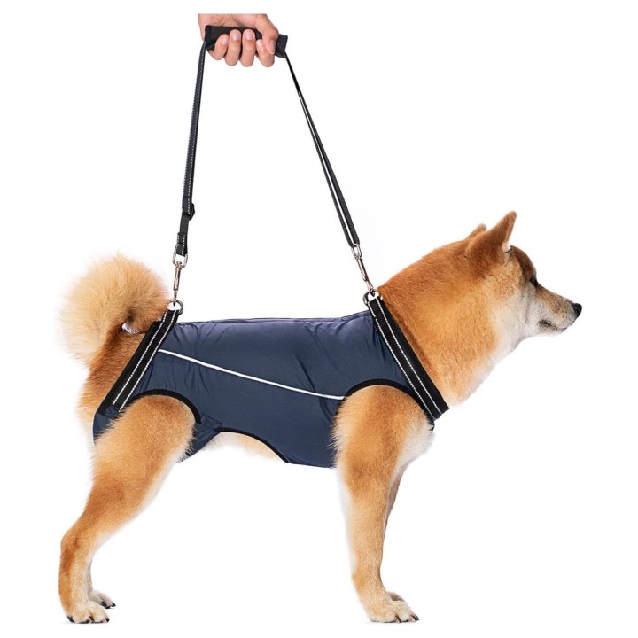 zu Pflege pflege hund pflege gehen ältere gehhilfe pflege pflege leuchtet bei hund pflege pflege hund pflege harness [Easy wa