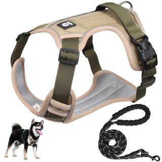 empfohlen für Shiba XINIDEA robustes und langlebiges Hundegeschirr Namensschild zum Aufkleben für klein mittel groß extra gro