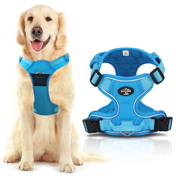 Hundegeschirr, Hundeleine ... blau