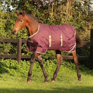 Horseware Amigo Foal Turnout Rug Ripstop 200g - Fig/Navy