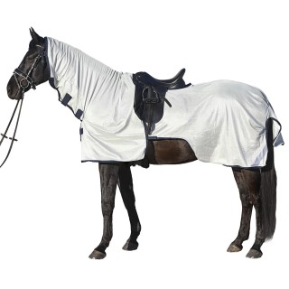 Euroriding AusreitFliegendecke Reflection