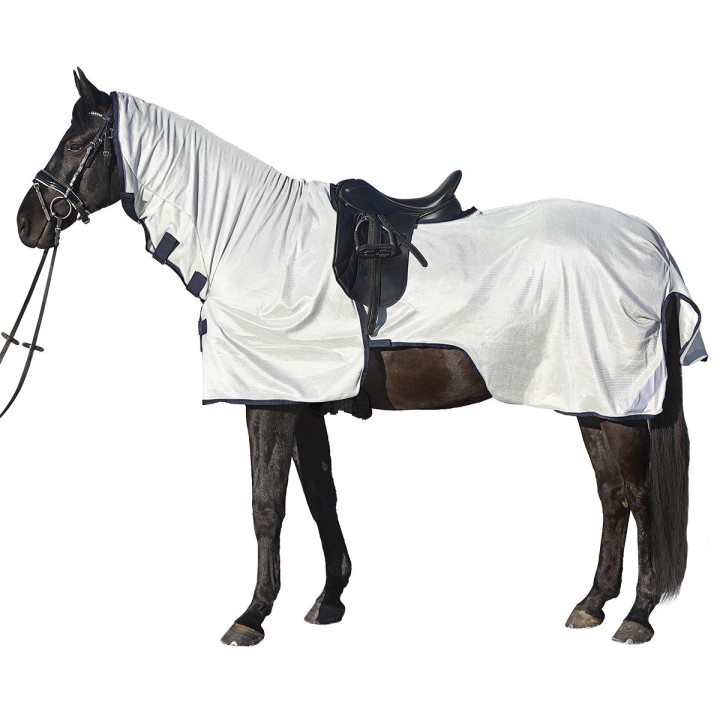 Euroriding AusreitFliegendecke Reflection