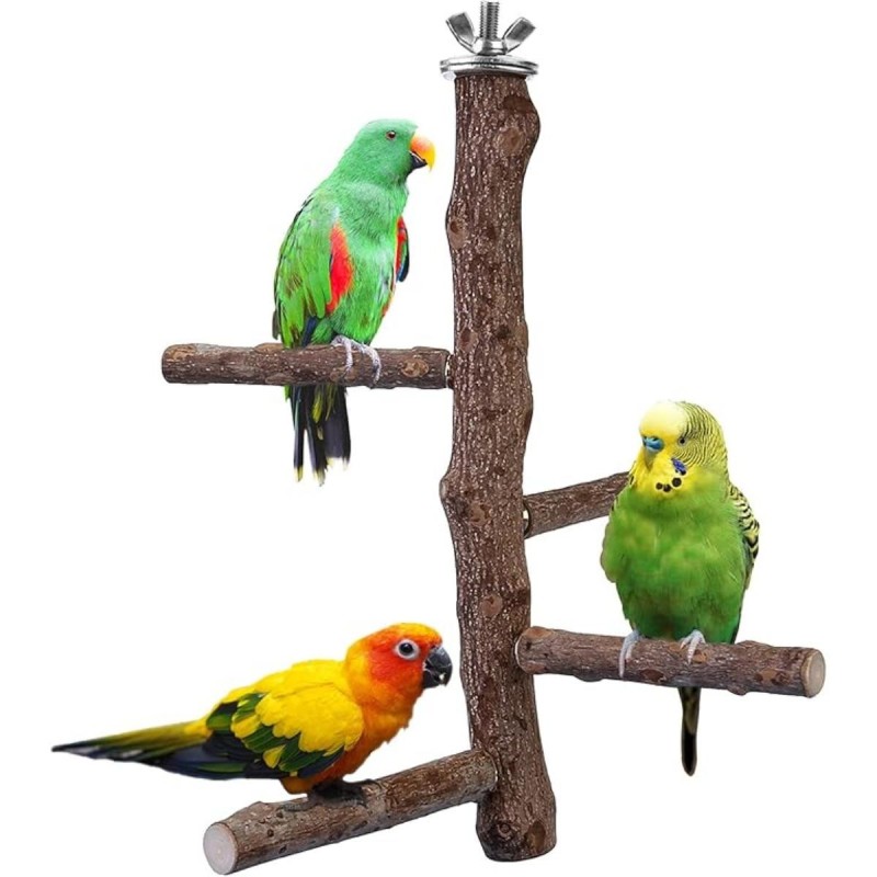 Vogelsitzstangenständer-Spielzeug, natürliches Holz, Papageiensitzstange, Vogelkäfig-Astsitzstange, Zubehör für Sittiche, Nym