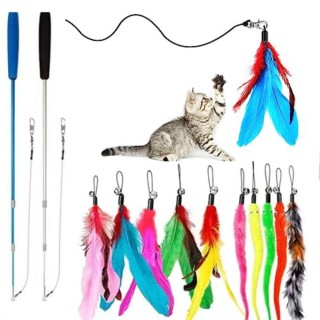 Mit Glocken-Nachfüllungen, Katzenfederglocken-Teaser-Stange, lindert Langeweile, interaktives Katzenspielzeug für Hauskatzen