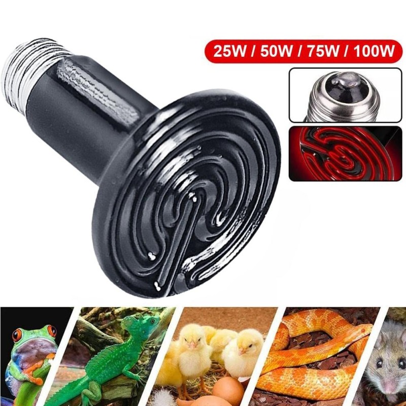 25W/50W/75W/100W Aalen Keramik IR Wärme Emitter Birne Keine Lampe Schildkröte Infrarot Küken Pet Licht S A6X5 75w-1pcs