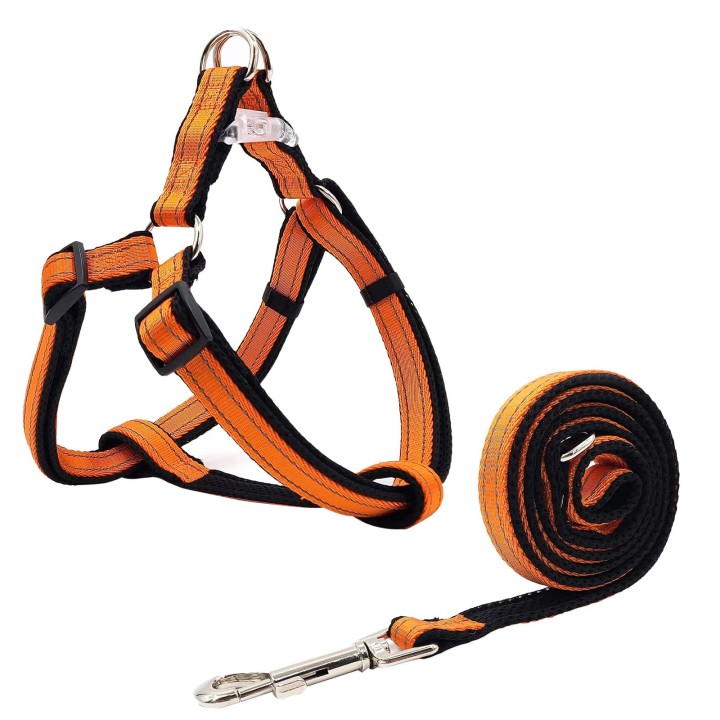 PawHuggies Paw Huggies Hundegeschirr, Leine, Haustier, 3 m, reflektierend, leuchtend, Training, aus geeignet für kleine, mitt