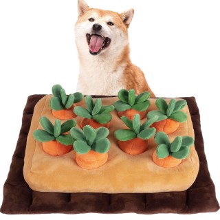 Hundespielzeug, Haustier, pädagogisches Spielzeug, Karotte, Nase, Arbeit, Leckerli, Verstecken, YCYHHW, Hund, Stress, Mangel