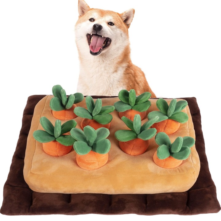 Hundespielzeug, Haustier, pädagogisches Spielzeug, Karotte, Nase, Arbeit, Leckerli, Verstecken, YCYHHW, Hund, Stress, Mangel
