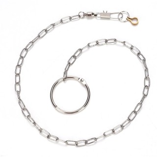 Edelstahl Pet Vögel Papagei Fuß Kette Fußkettchen Trainingsgeschirr  (Psittacula eupatria)